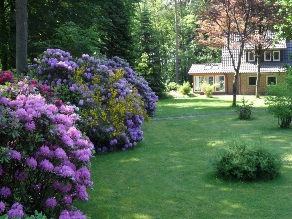Ferienwohnungen / Ferienhaus Wahlers Bispingen Zewnętrze zdjęcie